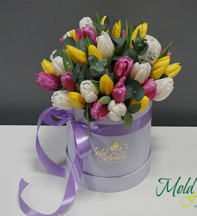 Коробка c разноцветными тюльпанами Фото 394x433